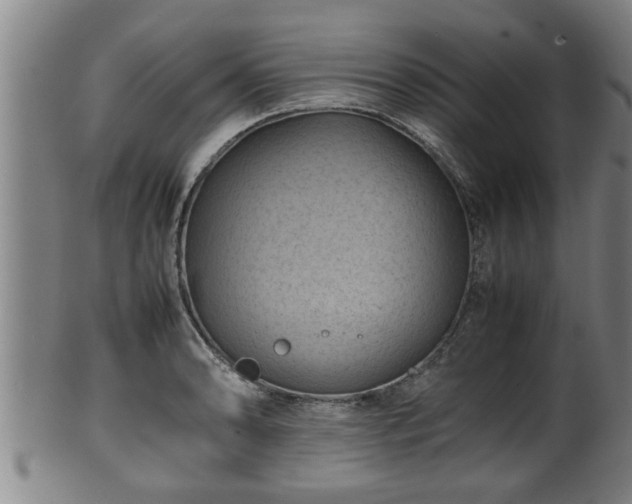 X0000100221086200806061339