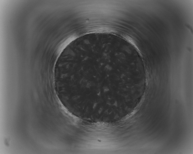 X0000100221087200806061339