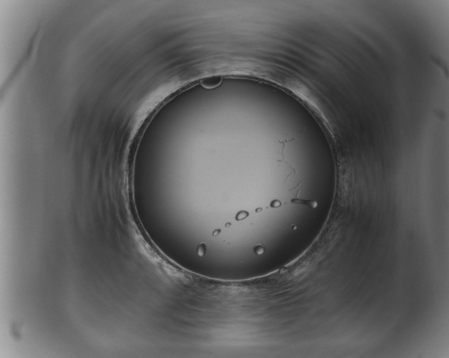 X0000100221088200806061339