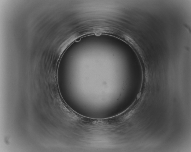 X0000100221089200806061339