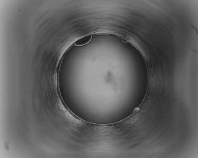 X0000100221092200806061339