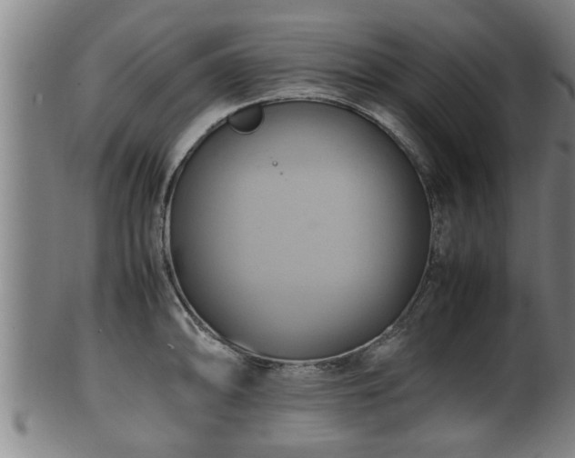 X0000100221094200806061339