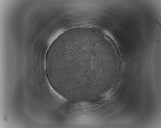 X0000100221095200806061339