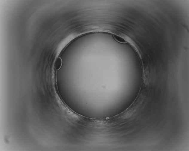 X0000100221096200806061339