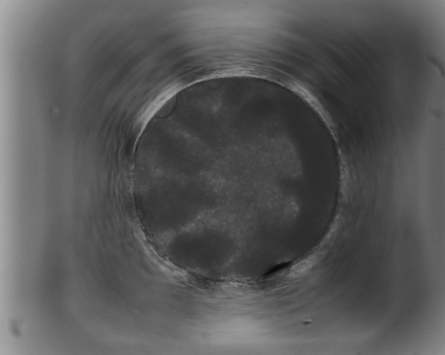 X0000100221097200806061339