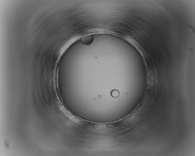 X0000100221098200806061339