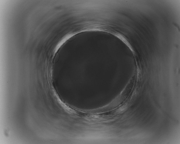 X0000100221101200806061339