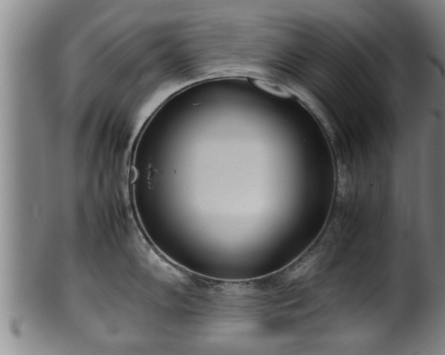 X0000100221102200806061338