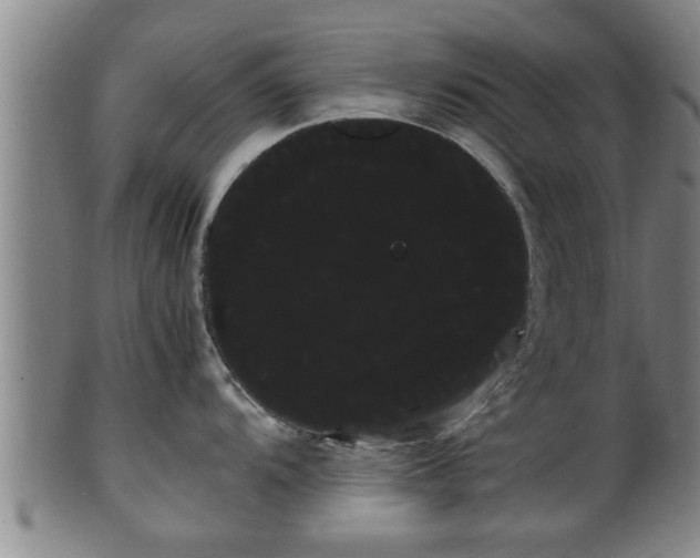 X0000100221104200806061338