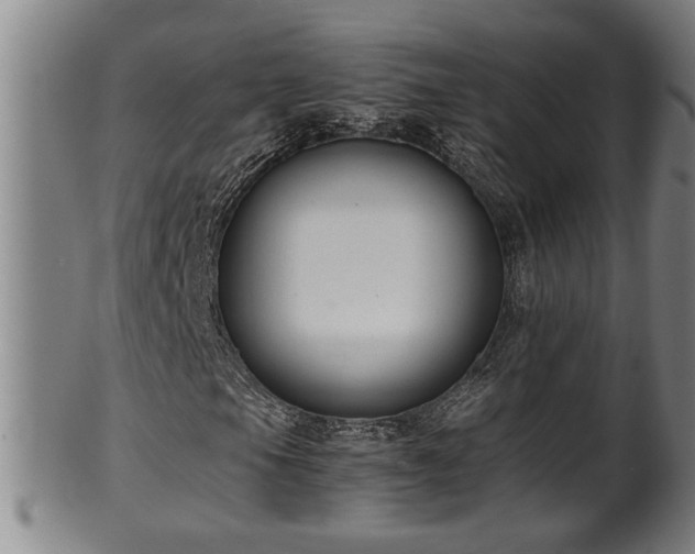 X0000100221105200806061338