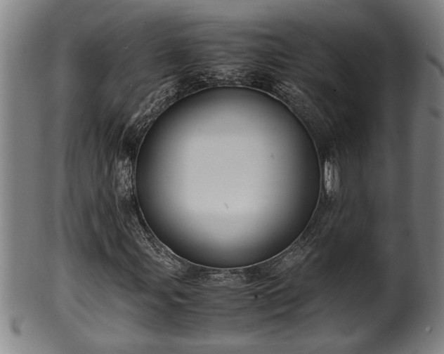 X0000100221107200806061338