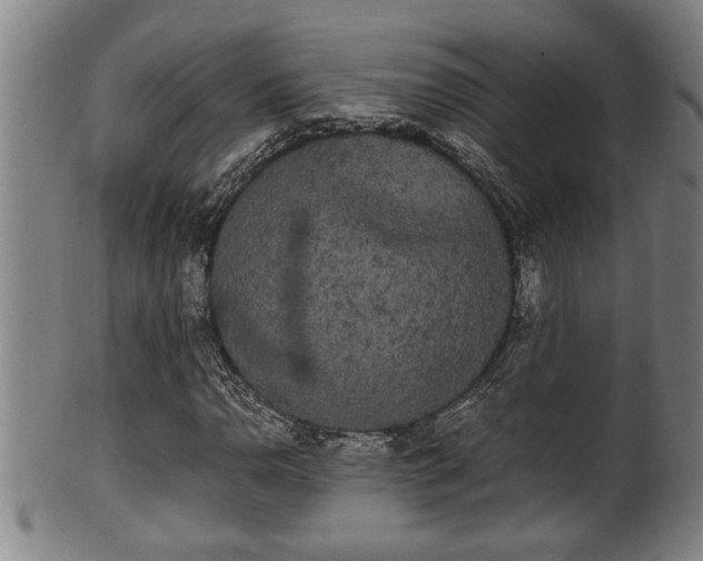 X0000100221110200806061338