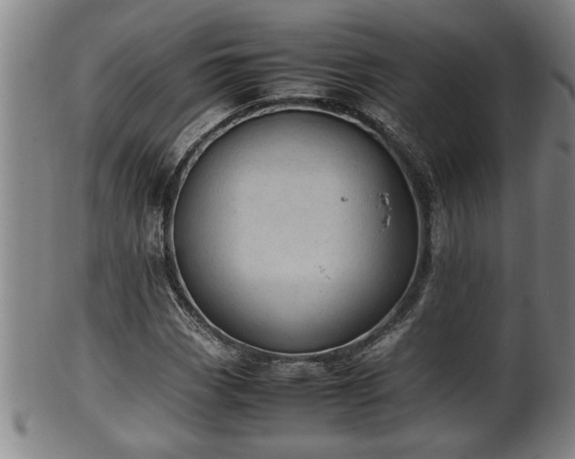 X0000100221113200806061338