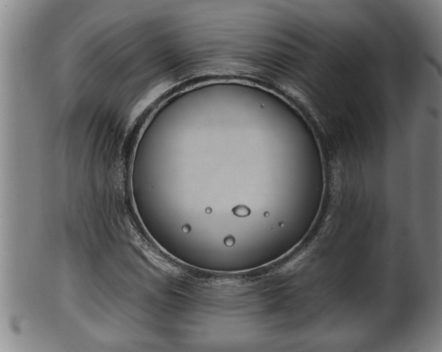 X0000100221114200806061338