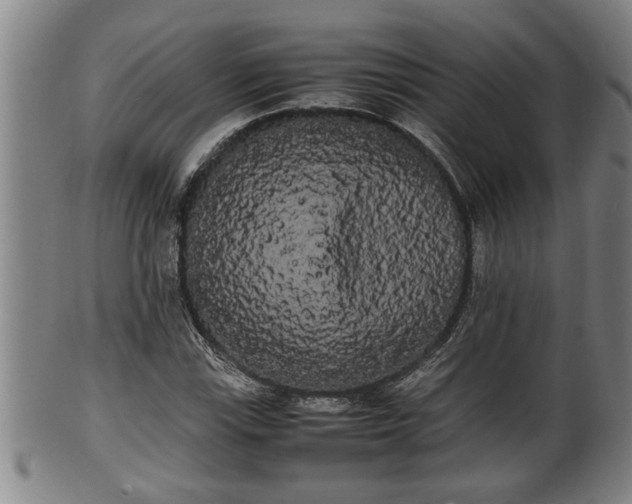 X0000100221115200806061338