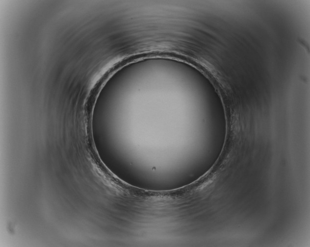 X0000100221118200806061338