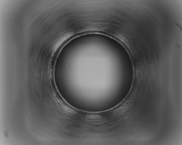 X0000100221119200806061338