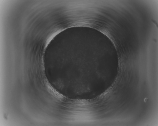 X0000100221120200806061338