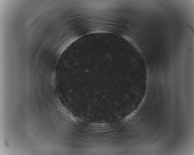 X0000100221121200806061338