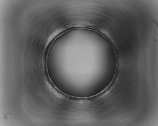 X0000100221122200806061338