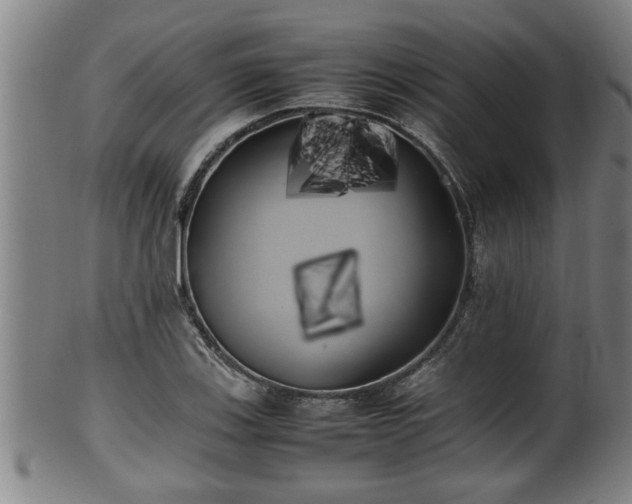 X0000100221123200806061338