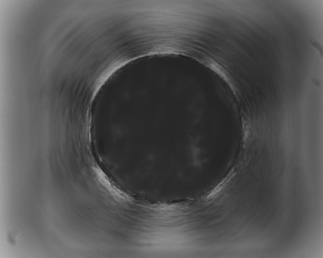 X0000100221124200806061338