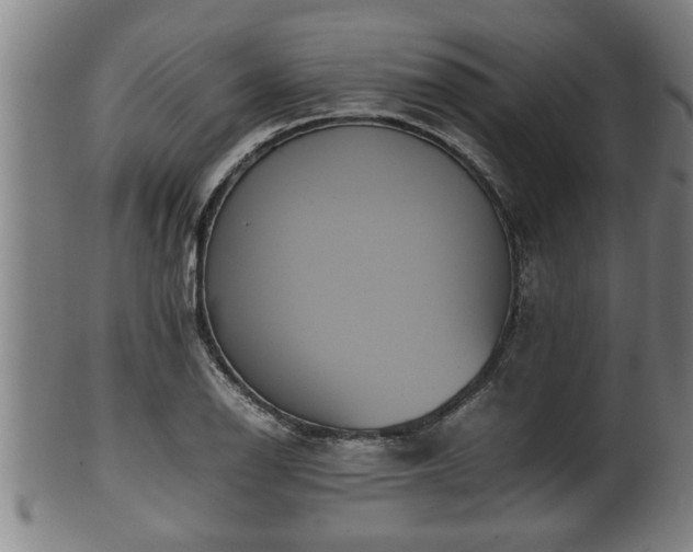 X0000100221126200806061338