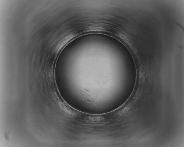 X0000100221129200806061338