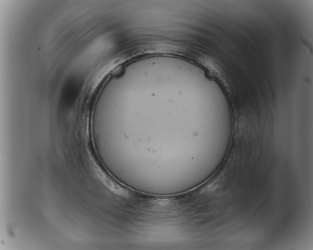 X0000100221130200806061338