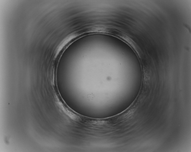 X0000100221131200806061338