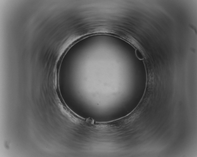 X0000100221132200806061338