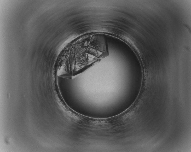 X0000100221133200806061338