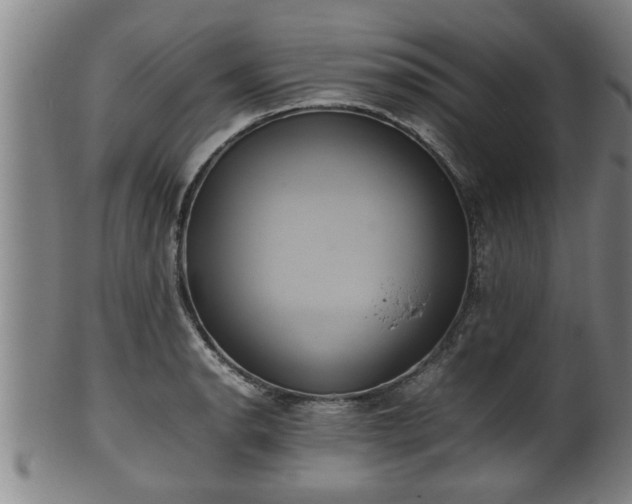 X0000100221134200806061338