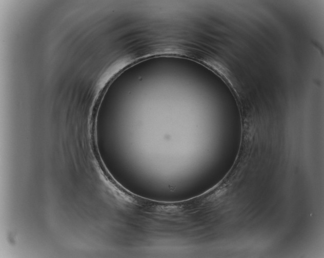 X0000100221135200806061338