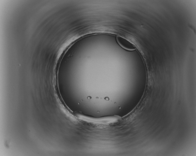 X0000100221136200806061338