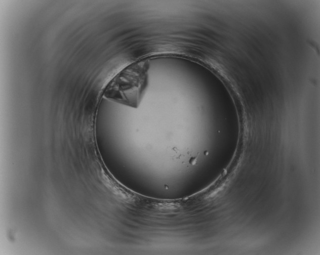 X0000100221137200806061338