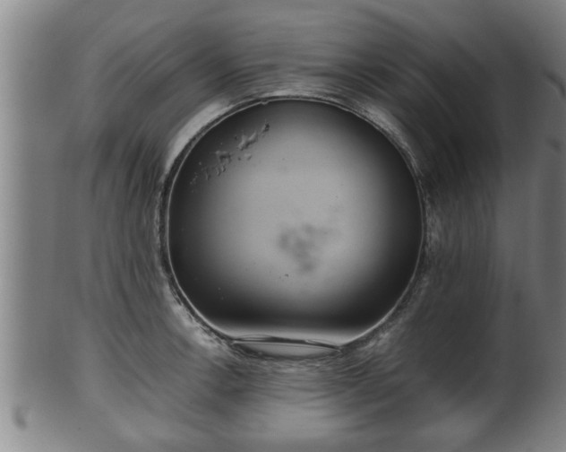 X0000100221138200806061338