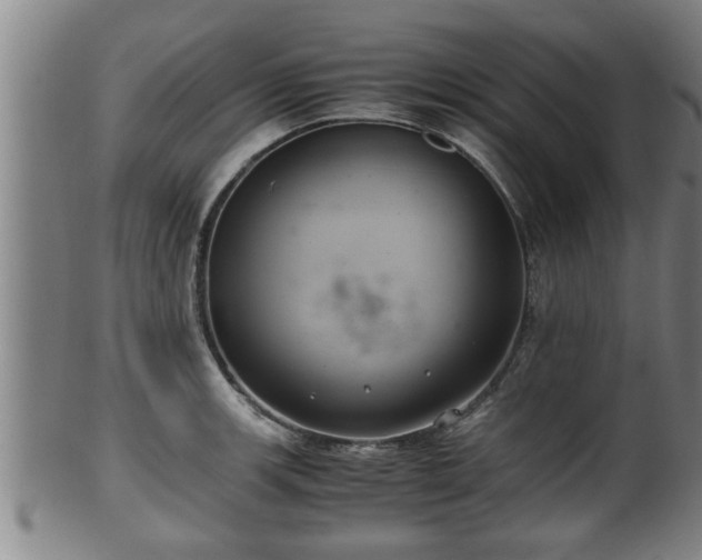 X0000100221139200806061338