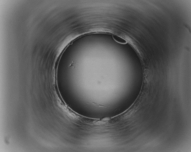 X0000100221140200806061338