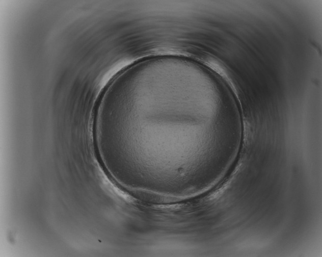 X0000100221141200806061338