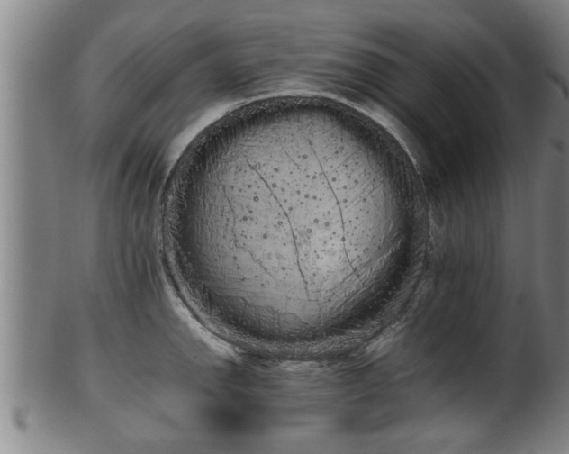 X0000100221142200806061338