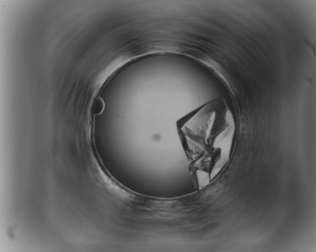 X0000100221143200806061338