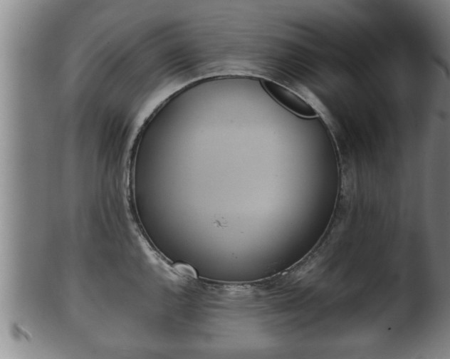 X0000100221144200806061338