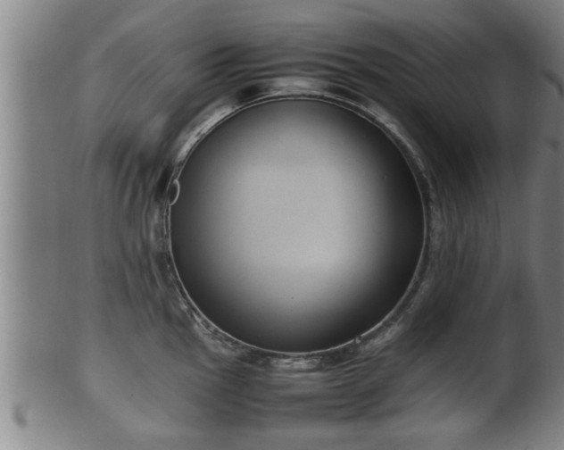 X0000100221145200806061338