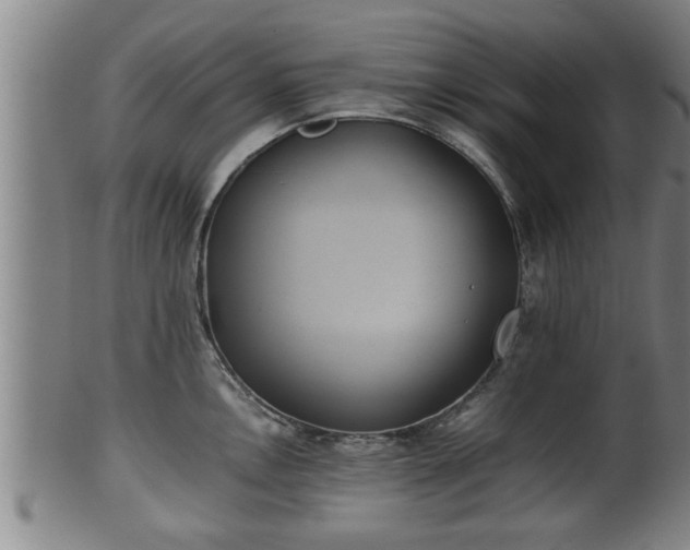 X0000100221146200806061338