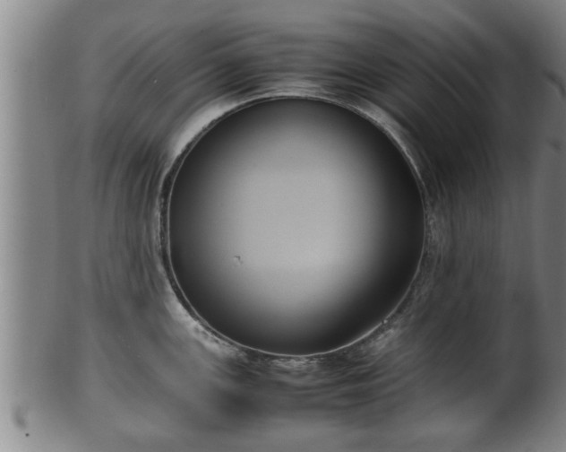 X0000100221147200806061338