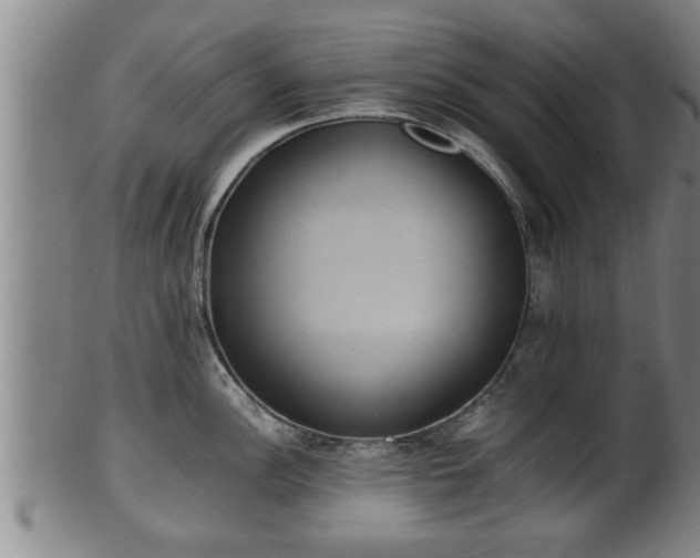 X0000100221148200806061338