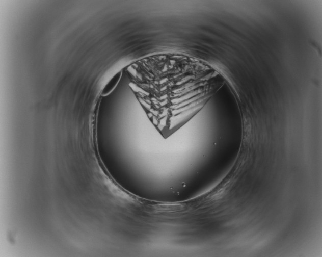 X0000100221151200806061338