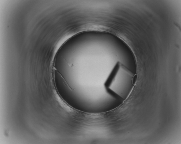 X0000100221152200806061338