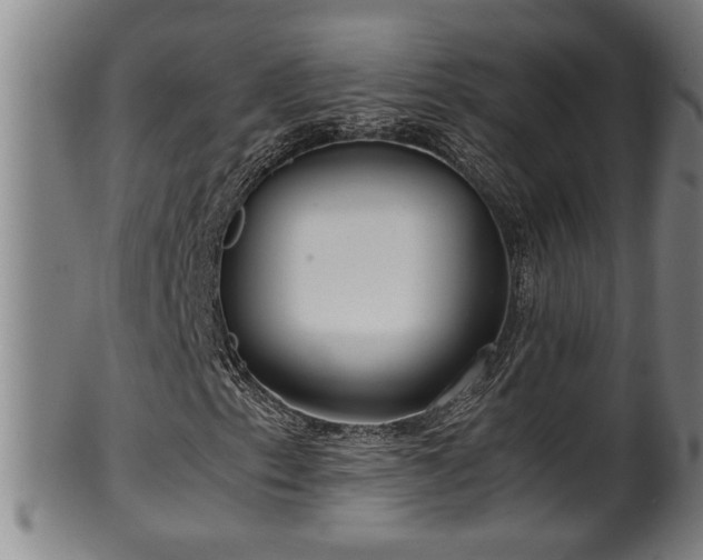 X0000100221153200806061338